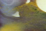 Polished Mookaite Jasper Slab - Australia #86591-1